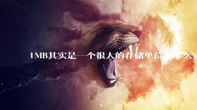 1MB其实是一个很大的存储单位，那么它的存储容量究竟有多大？