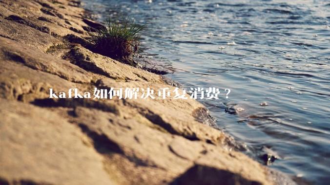 kafka如何解决重复消费?