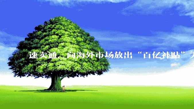 速卖通，向海外市场放出“百亿补贴”大招 - *